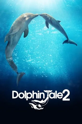 Mein Freund, der Delfin 2
