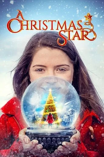 Der Weihnachtsstern