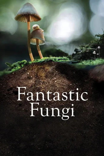 Fantastische Pilze